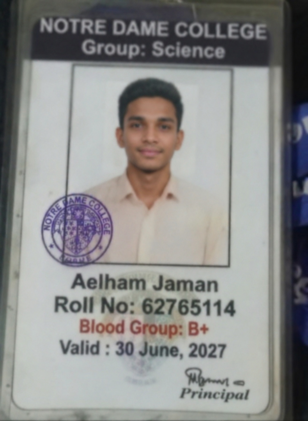 Photo of Aelham Jaman